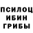 ГАШ гашик Sign Silence