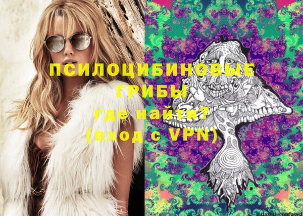 PSILOCYBIN Красноперекопск