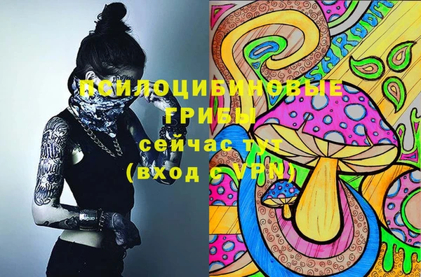 бошки Коряжма