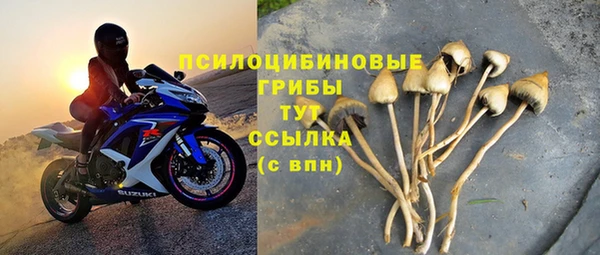PSILOCYBIN Красноперекопск