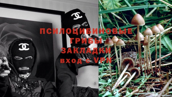 мет Краснослободск
